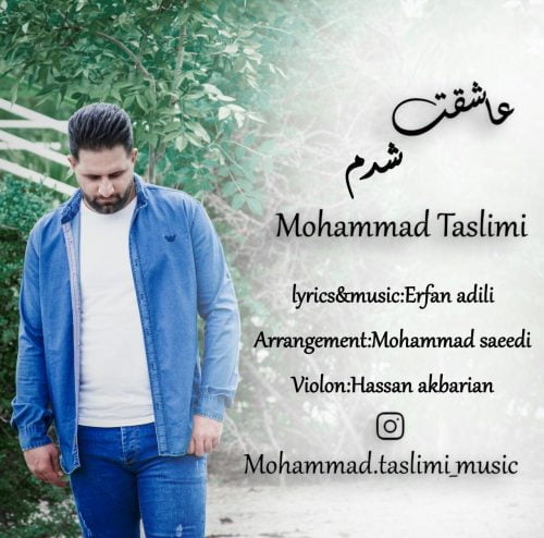 دانلود آهنگ جدید محمد تسلیمی با عنوان عاشقت شدم